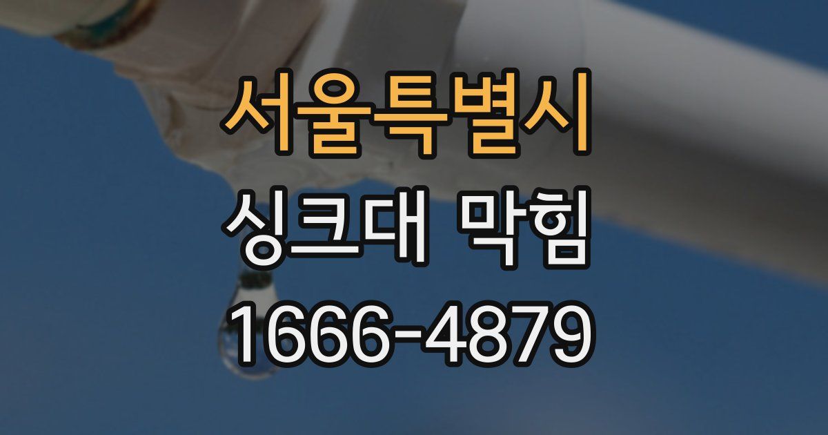 서울특별시 싱크대 막힘