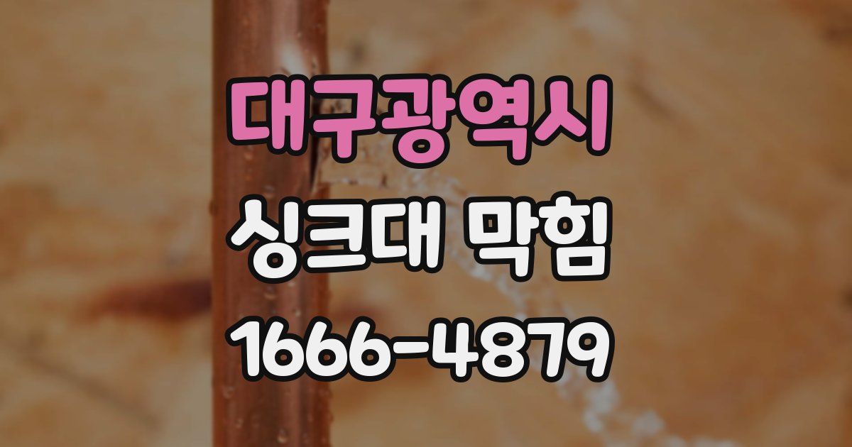 대구광역시 싱크대 막힘