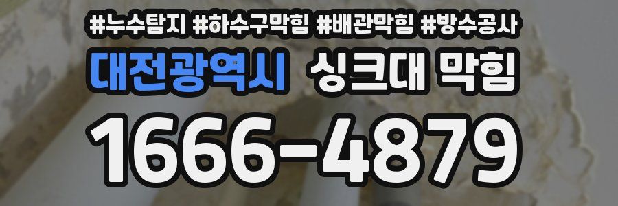 대전광역시 싱크대 막힘