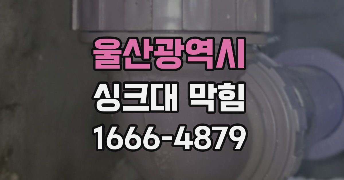 울산광역시 싱크대 막힘