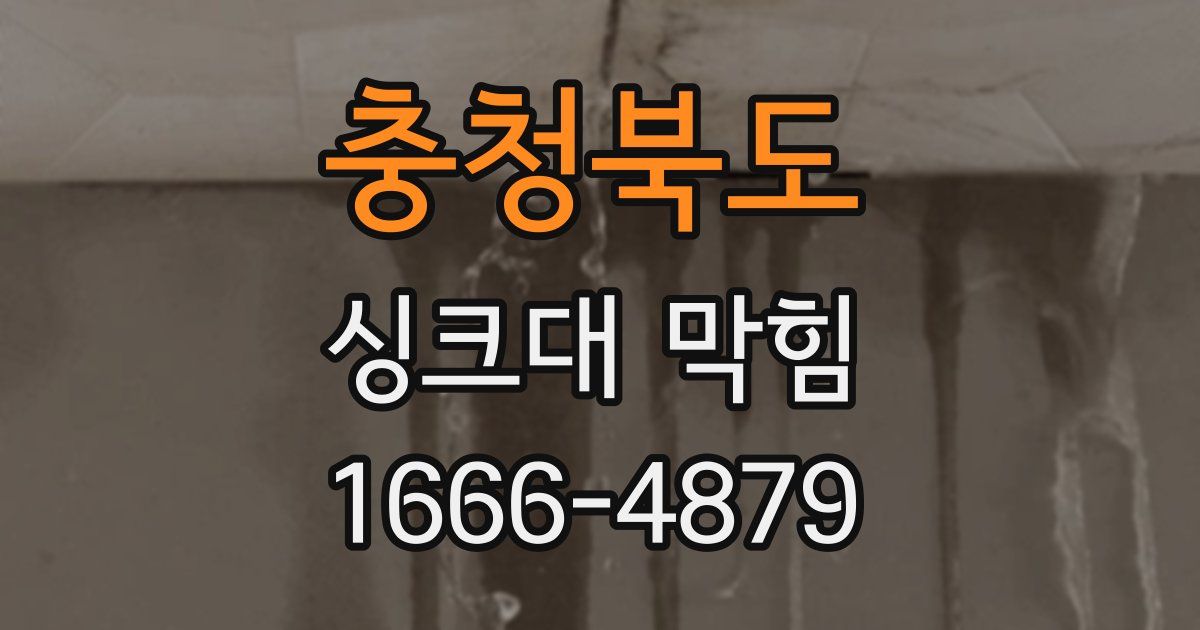 충청북도 싱크대 막힘
