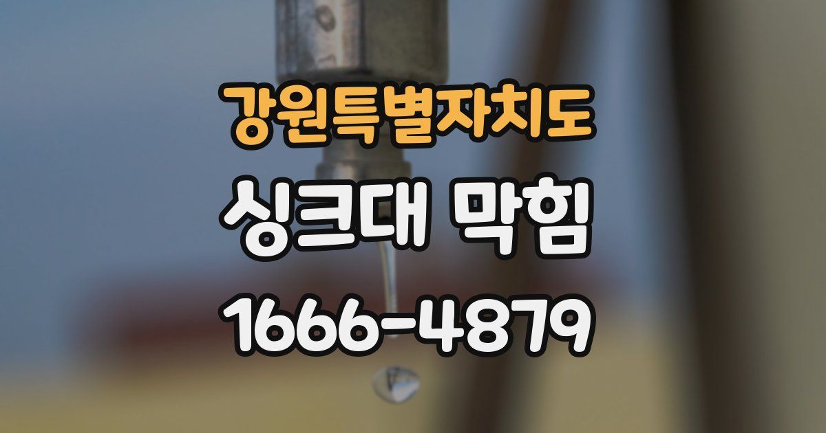 강원특별자치도 싱크대 막힘