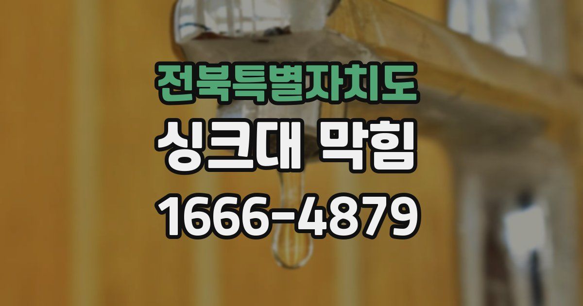 전북특별자치도 싱크대 막힘
