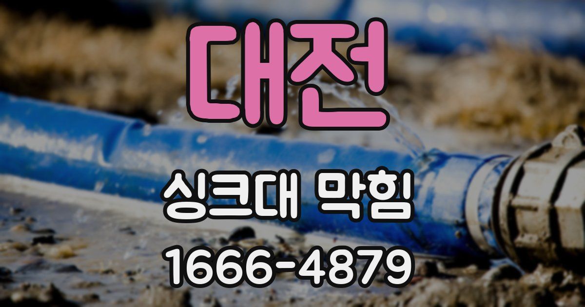 대전 싱크대 막힘