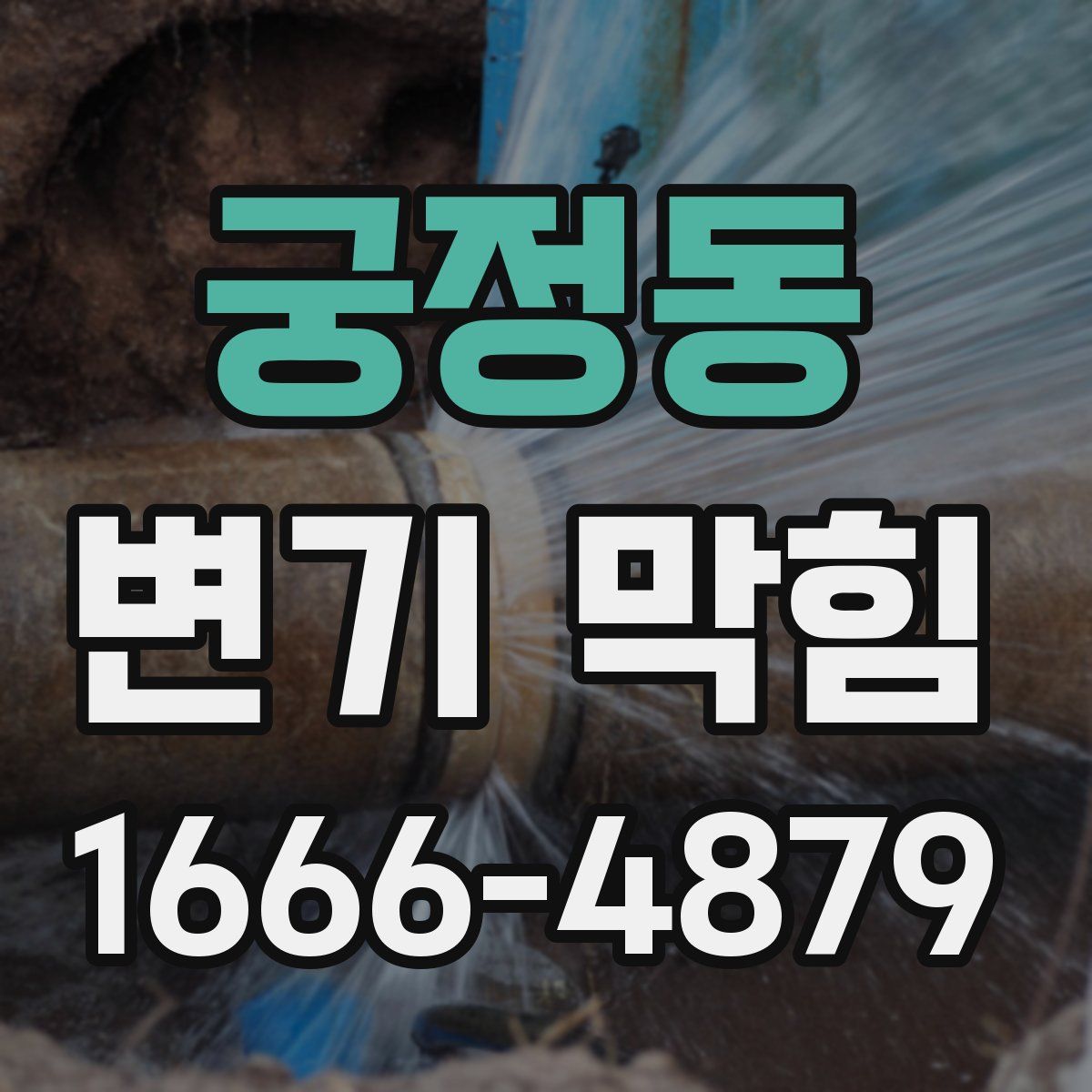 궁정동 변기 막힘