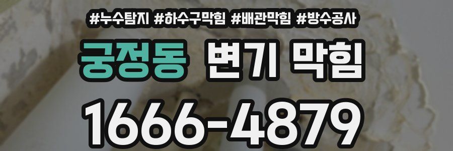 궁정동 변기 막힘