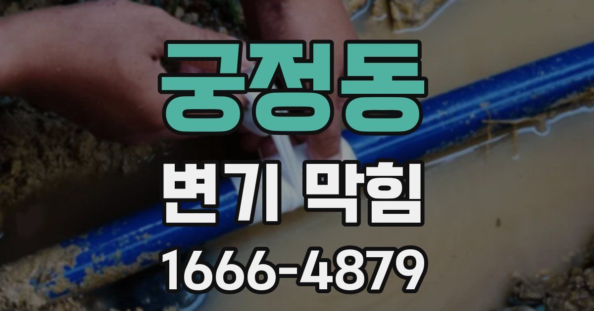 궁정동 변기 막힘