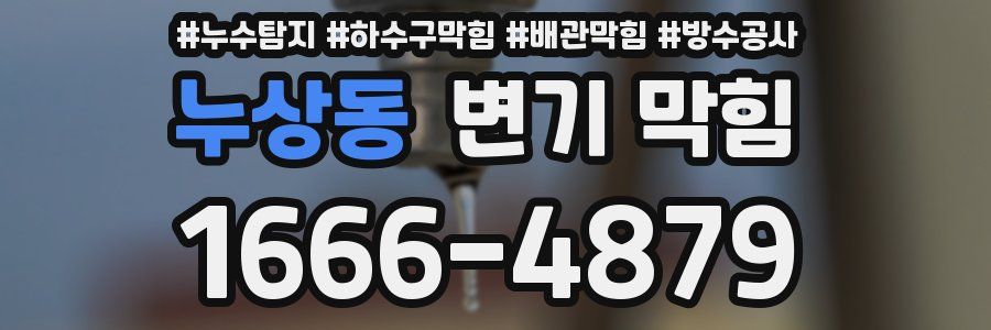 누상동 변기 막힘