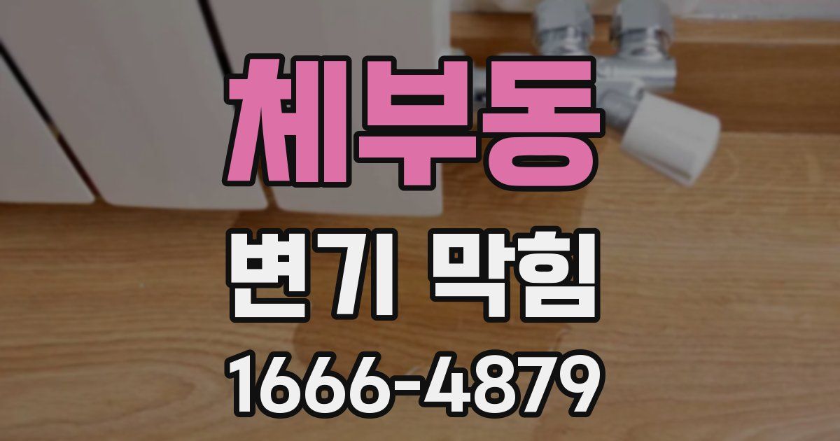 체부동 변기 막힘