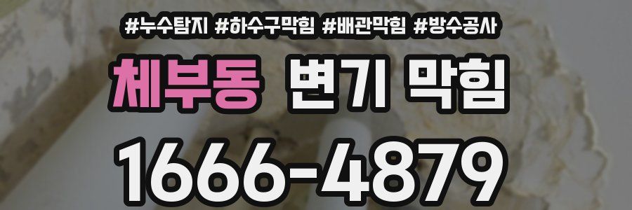 체부동 변기 막힘
