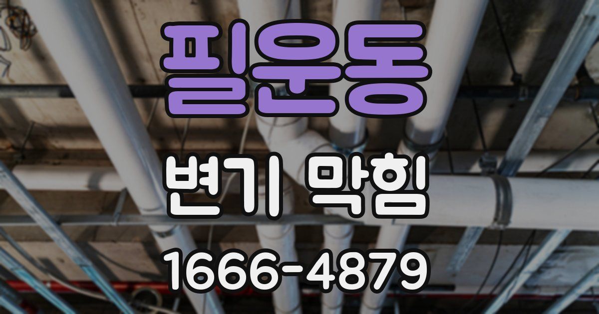 필운동 변기 막힘