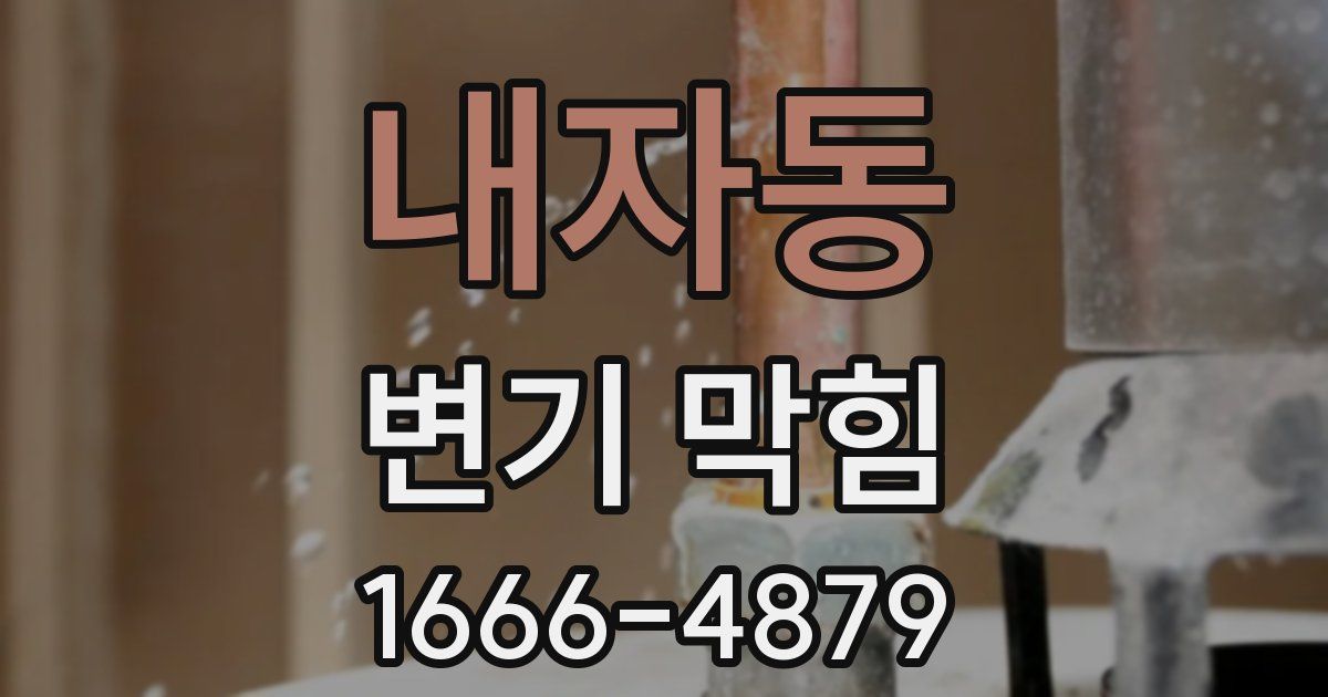 내자동 변기 막힘