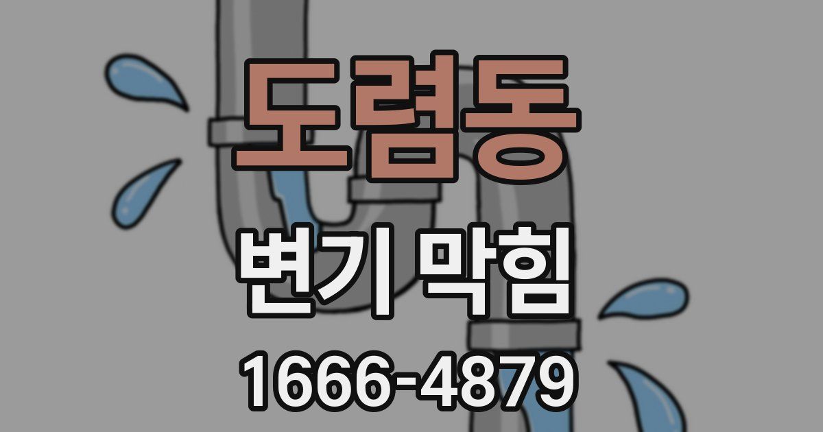 도렴동 변기 막힘
