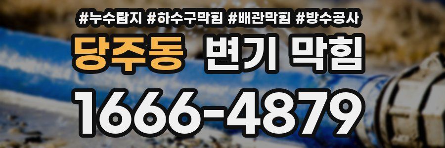 당주동 변기 막힘