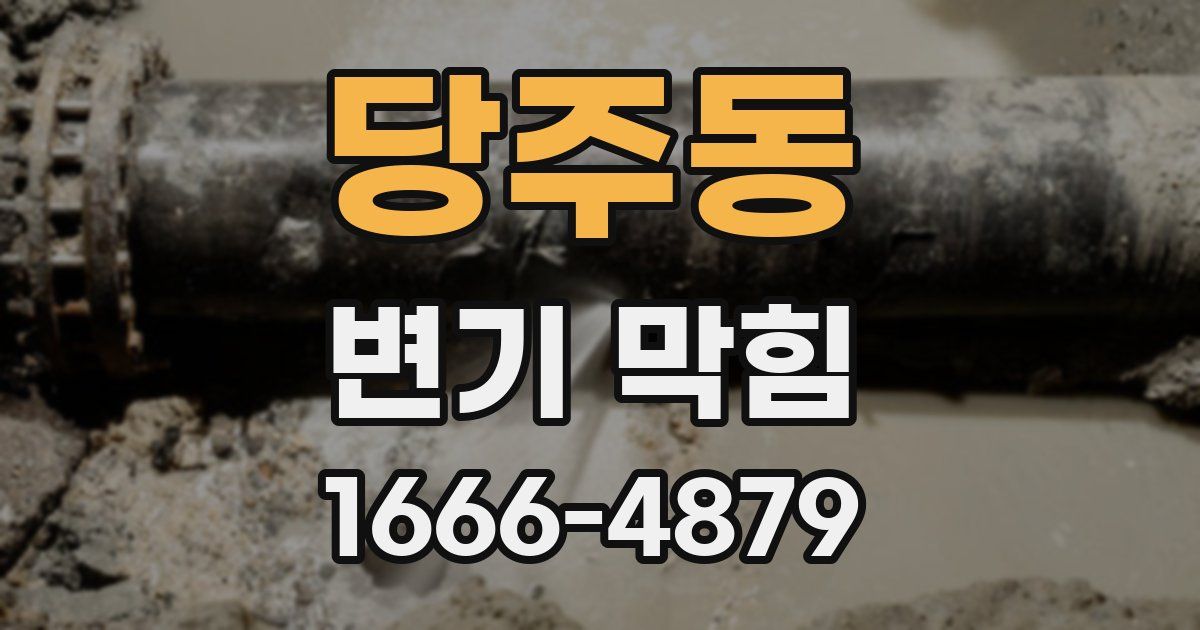 당주동 변기 막힘