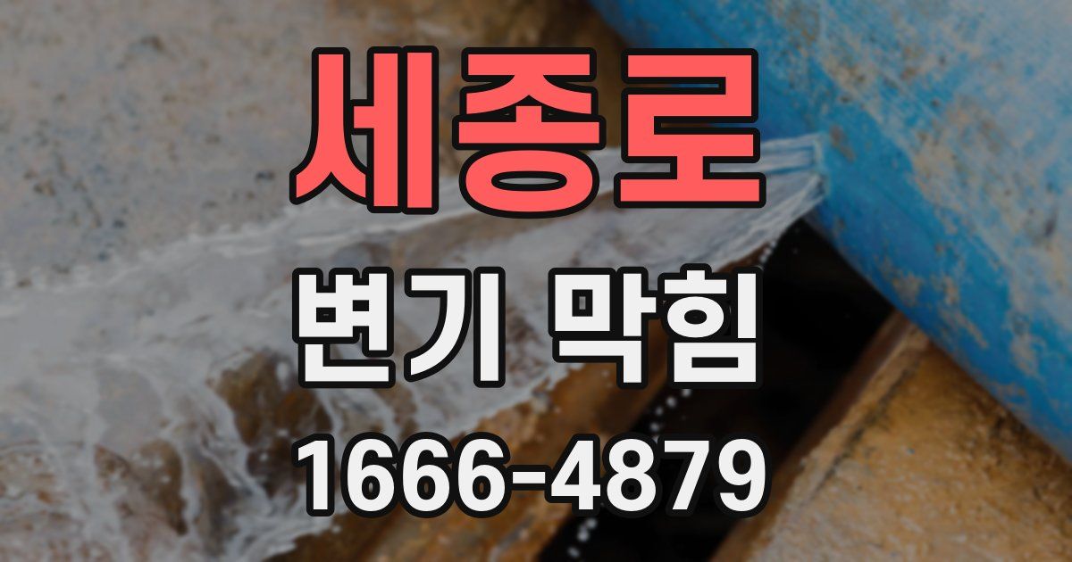 세종로 변기 막힘