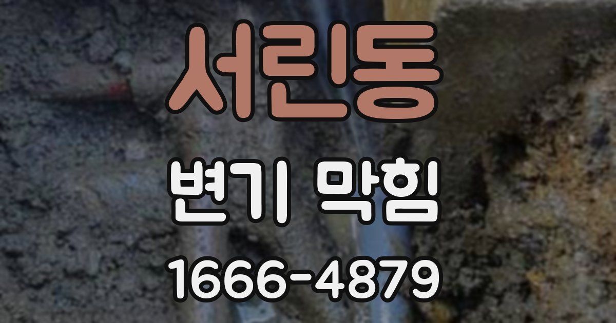 서린동 변기 막힘