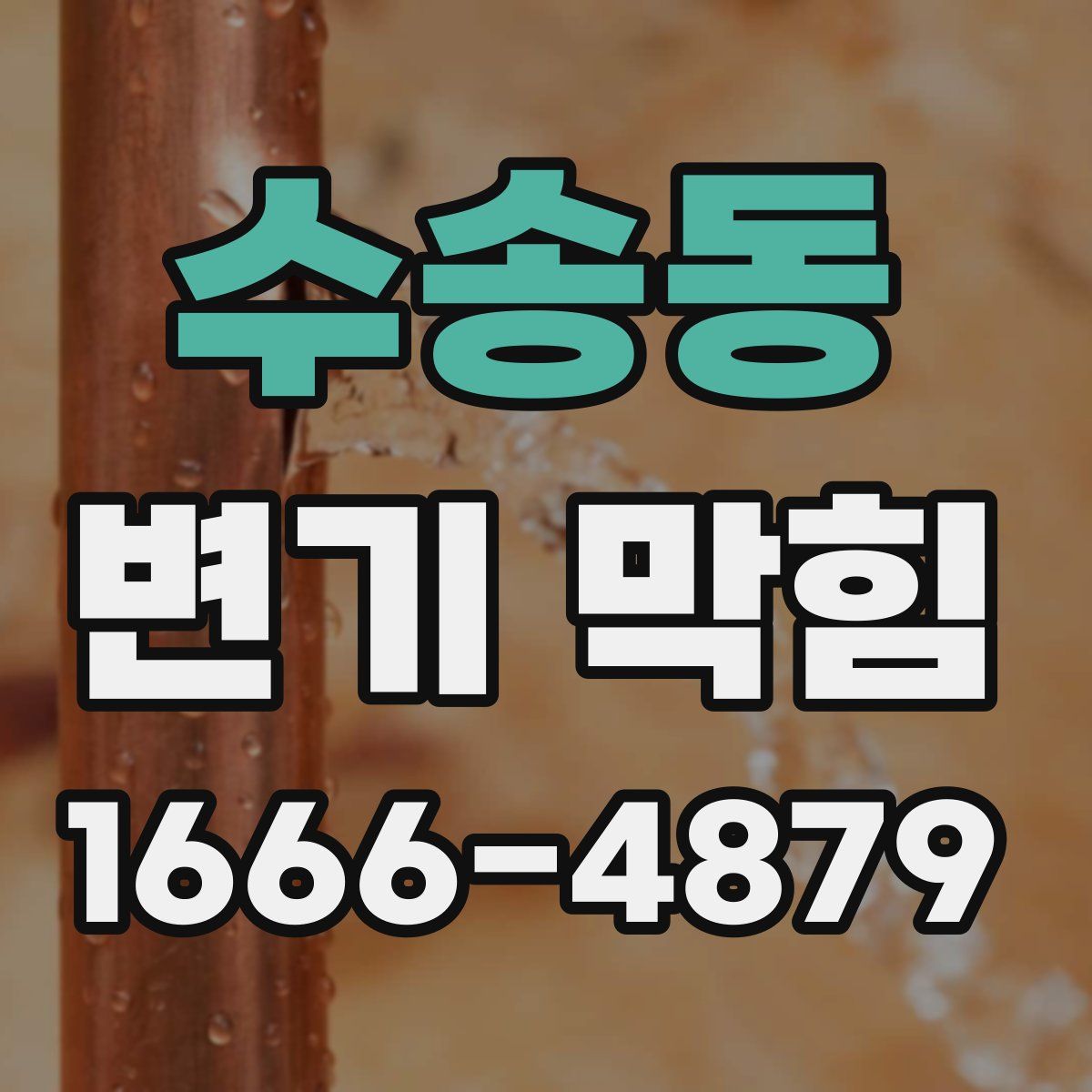 수송동 변기 막힘