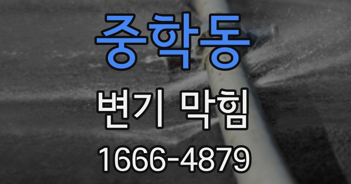 중학동 변기 막힘