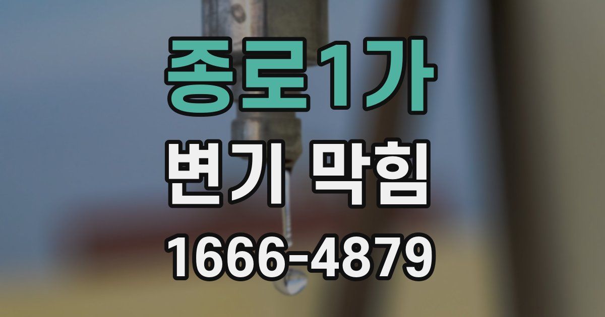 종로1가 변기 막힘