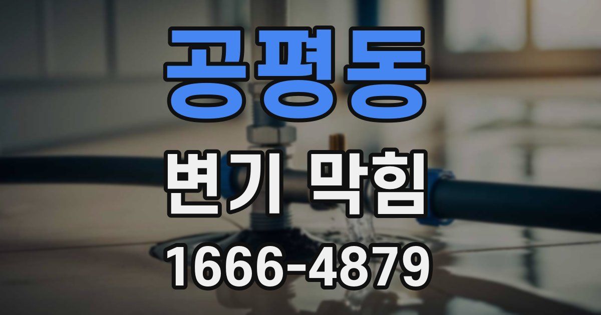 공평동 변기 막힘