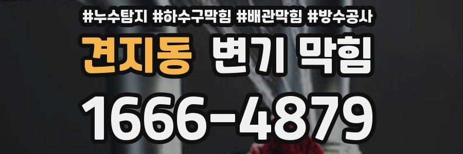 견지동 변기 막힘
