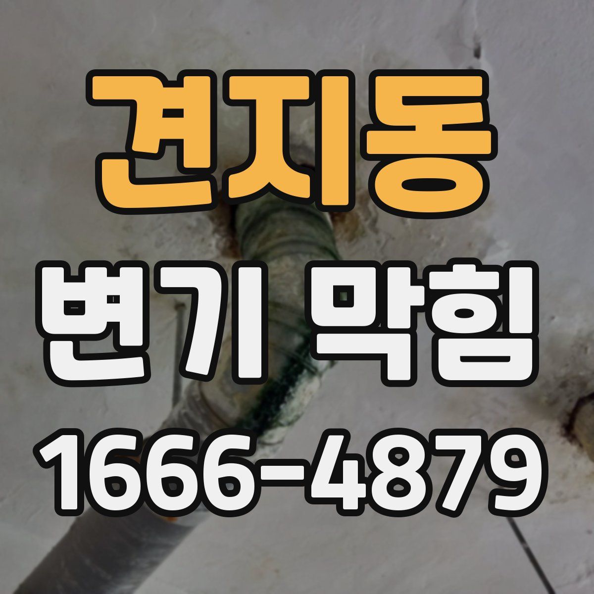 견지동 변기 막힘