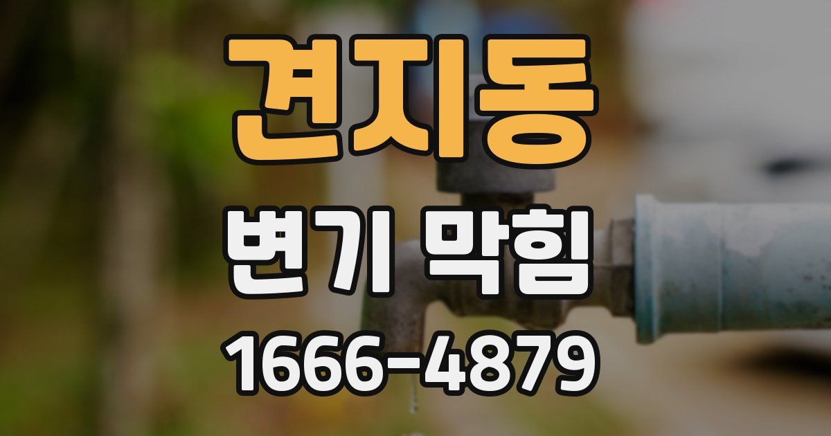 견지동 변기 막힘