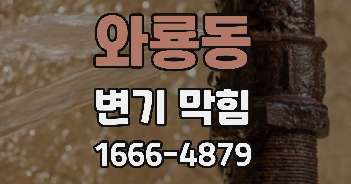 와룡동 변기 막힘
