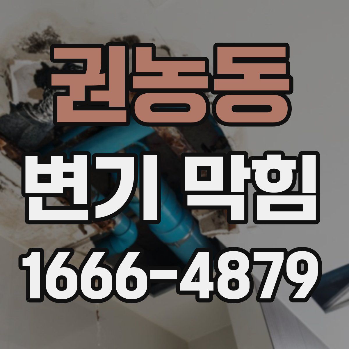 권농동 변기 막힘