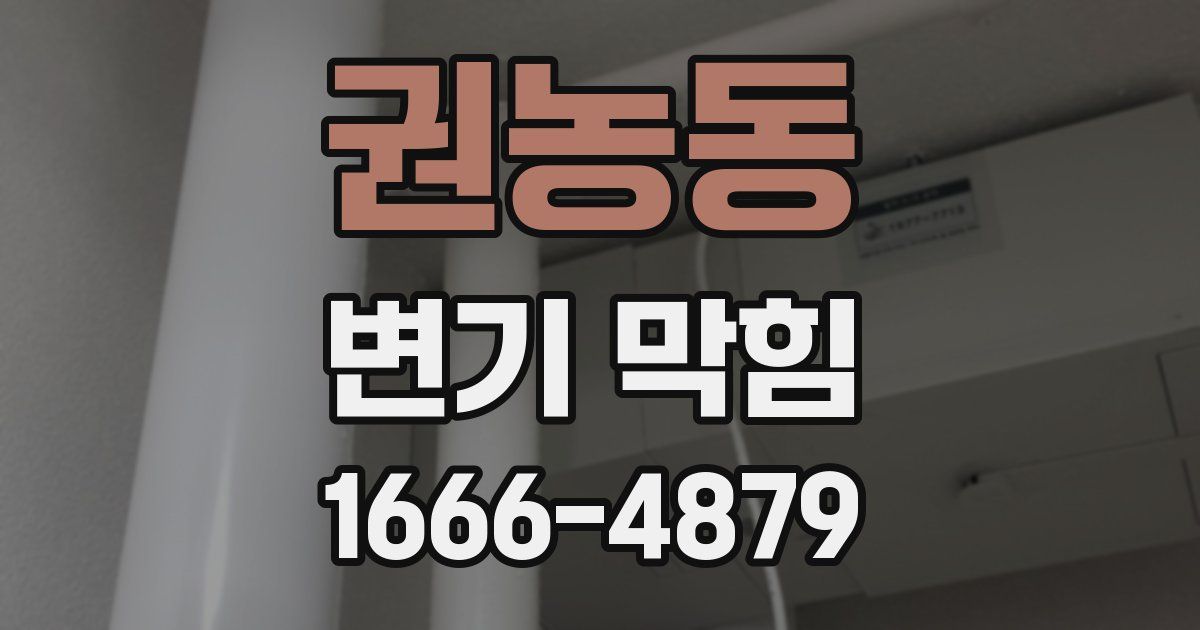 권농동 변기 막힘