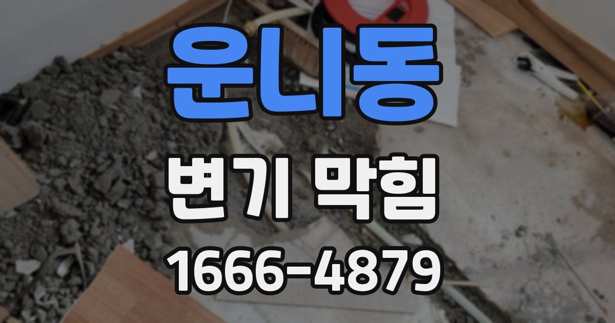 운니동 변기 막힘