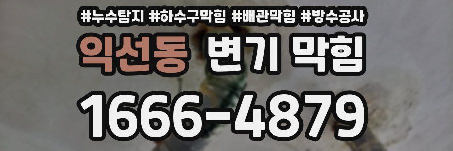 익선동 변기 막힘