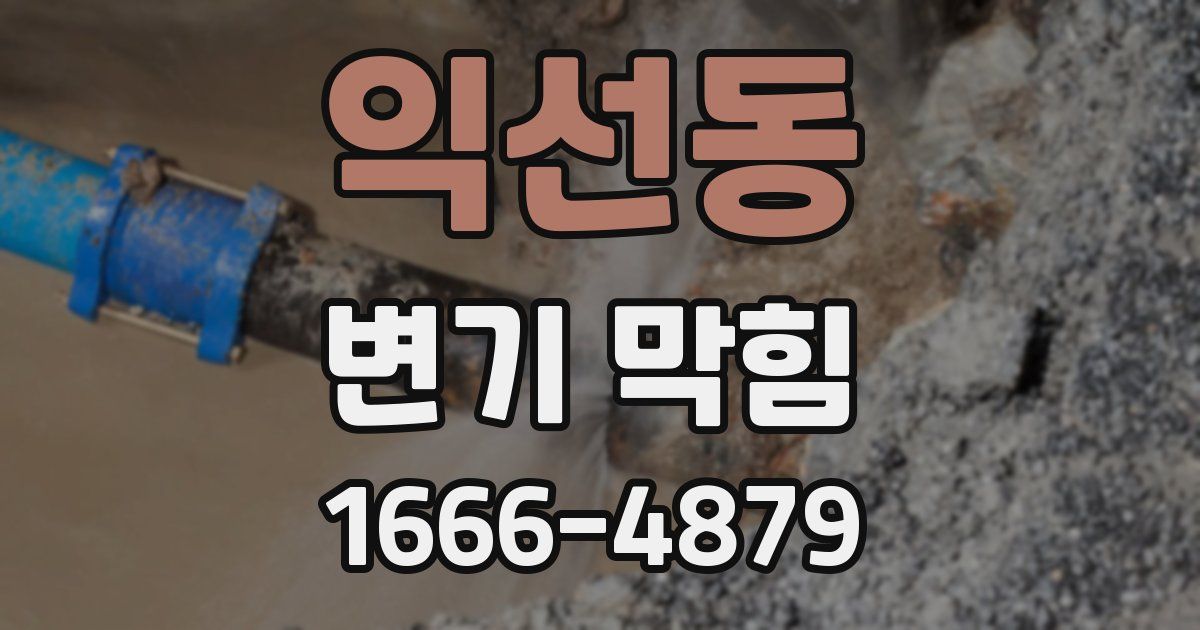 익선동 변기 막힘