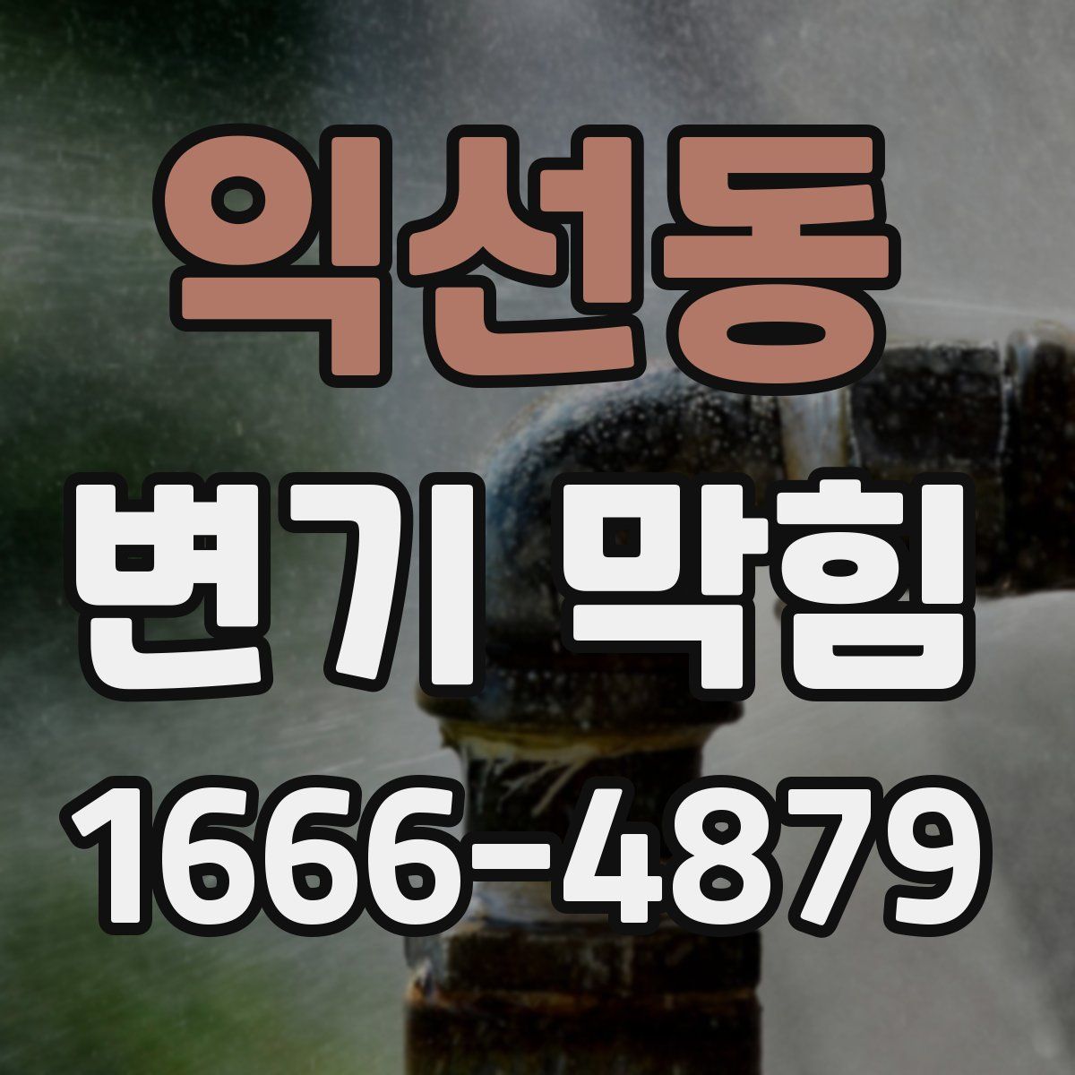 익선동 변기 막힘