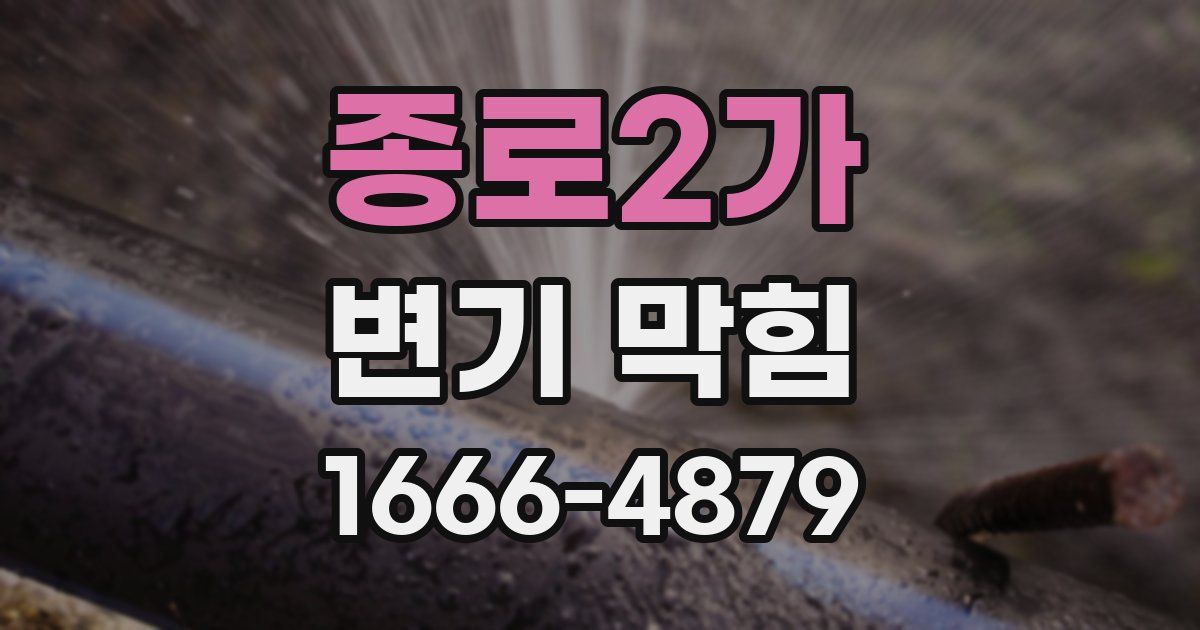 종로2가 변기 막힘