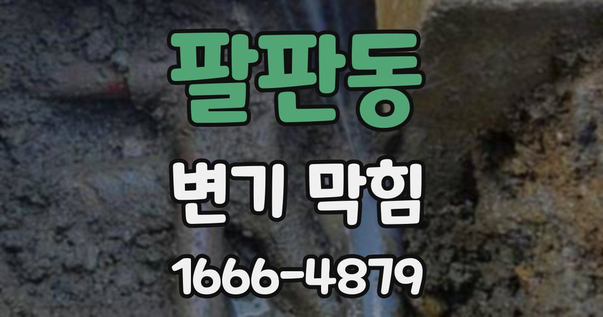 팔판동 변기 막힘