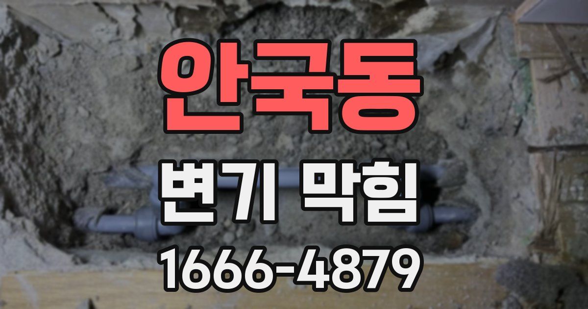 안국동 변기 막힘