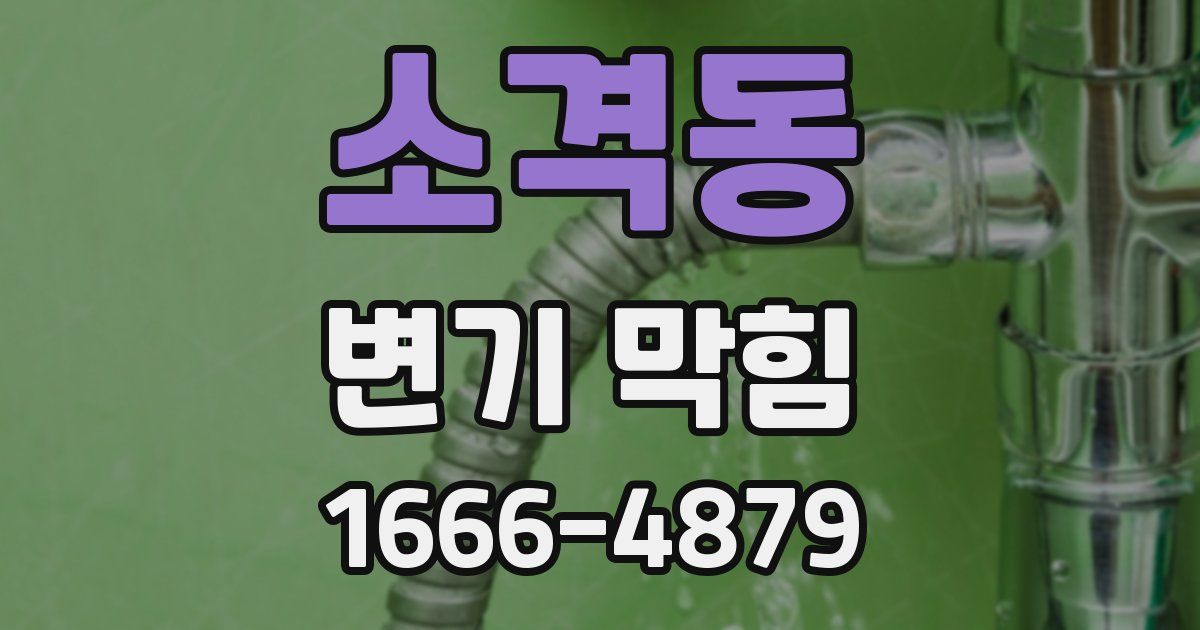 소격동 변기 막힘
