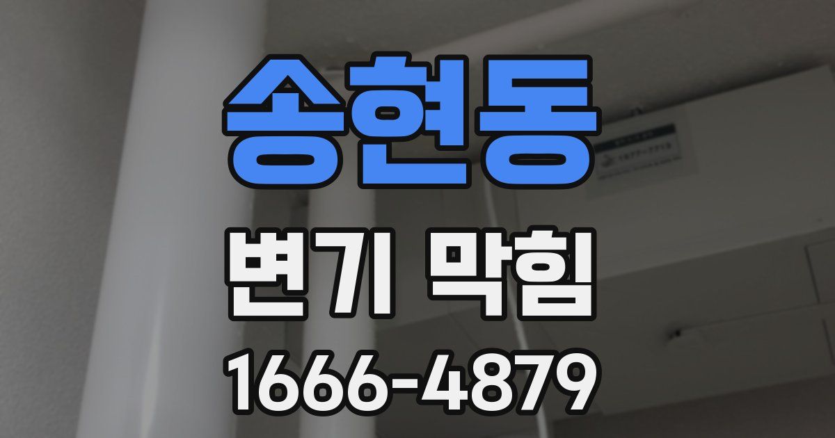 송현동 변기 막힘