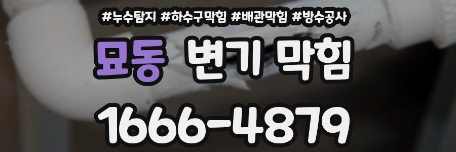 묘동 변기 막힘