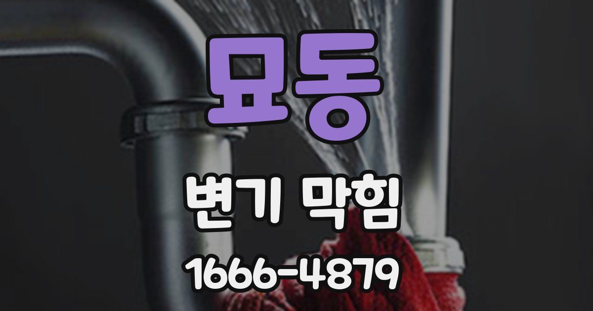 묘동 변기 막힘