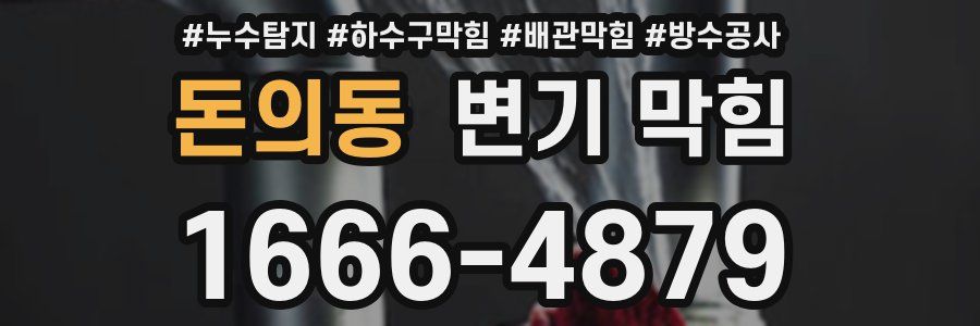 돈의동 변기 막힘