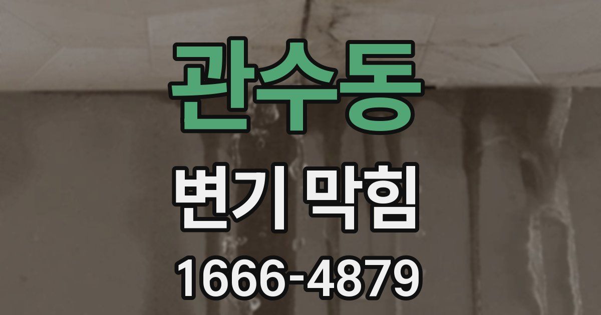 관수동 변기 막힘