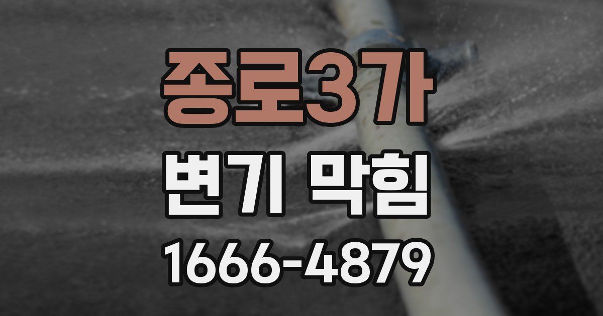 종로3가 변기 막힘