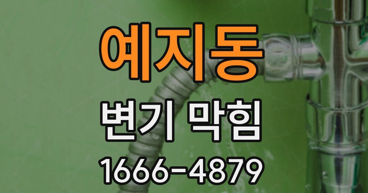 예지동 변기 막힘