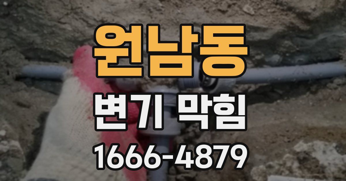 원남동 변기 막힘