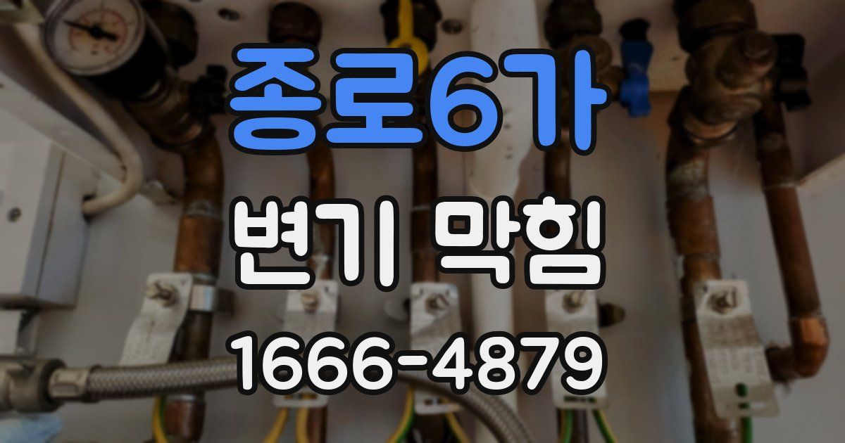 종로6가 변기 막힘