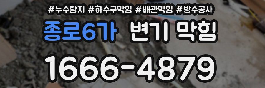 종로6가 변기 막힘