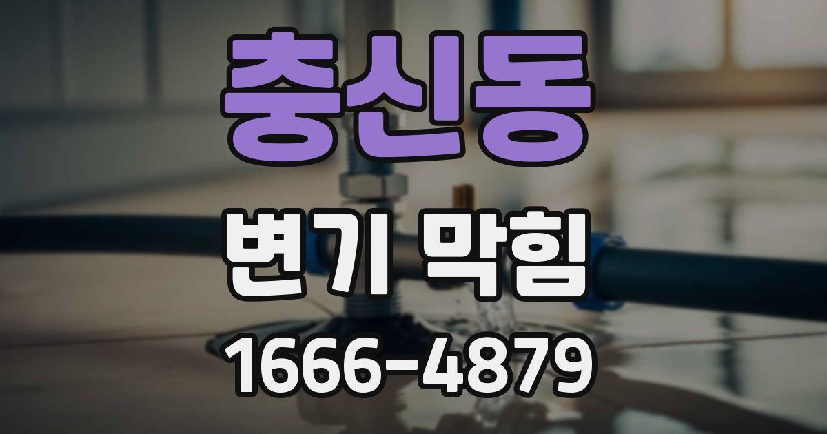 충신동 변기 막힘